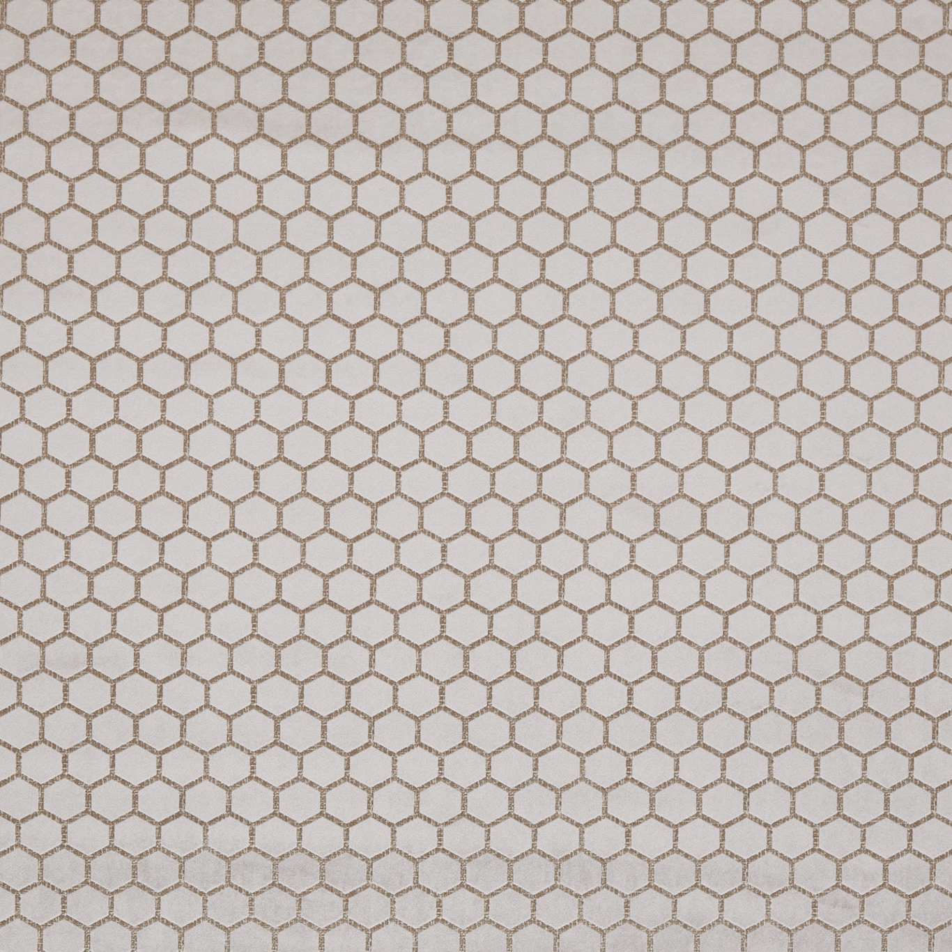 Hexa Taupe