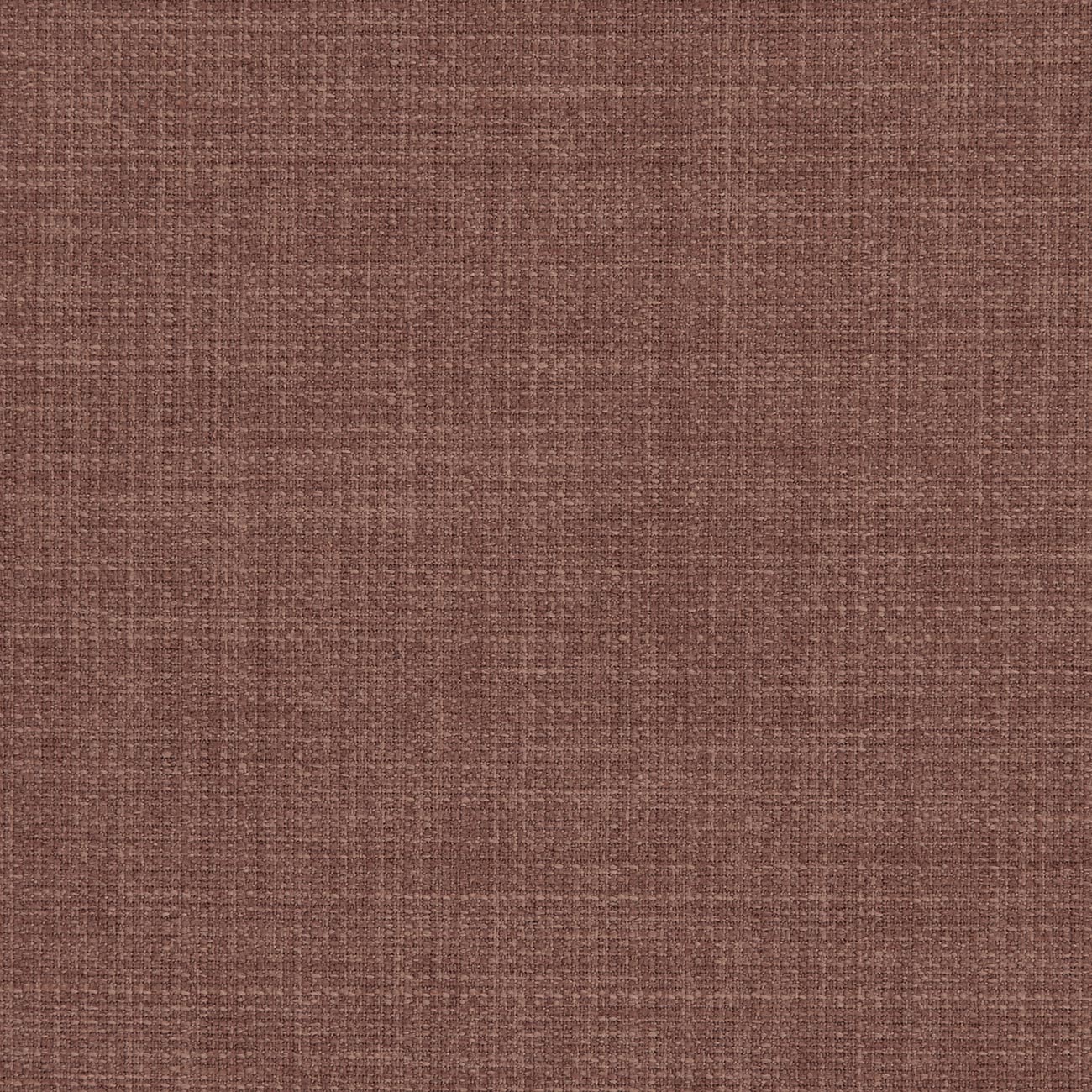 Linoso Cinnamon