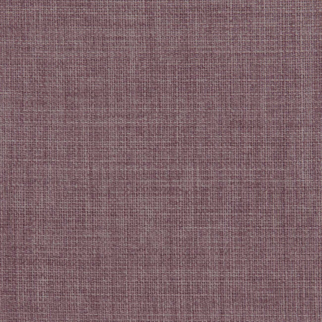 Linoso Heather