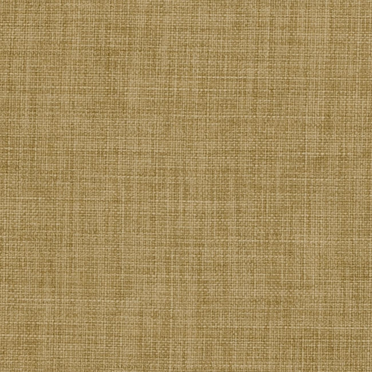 Linoso Olive