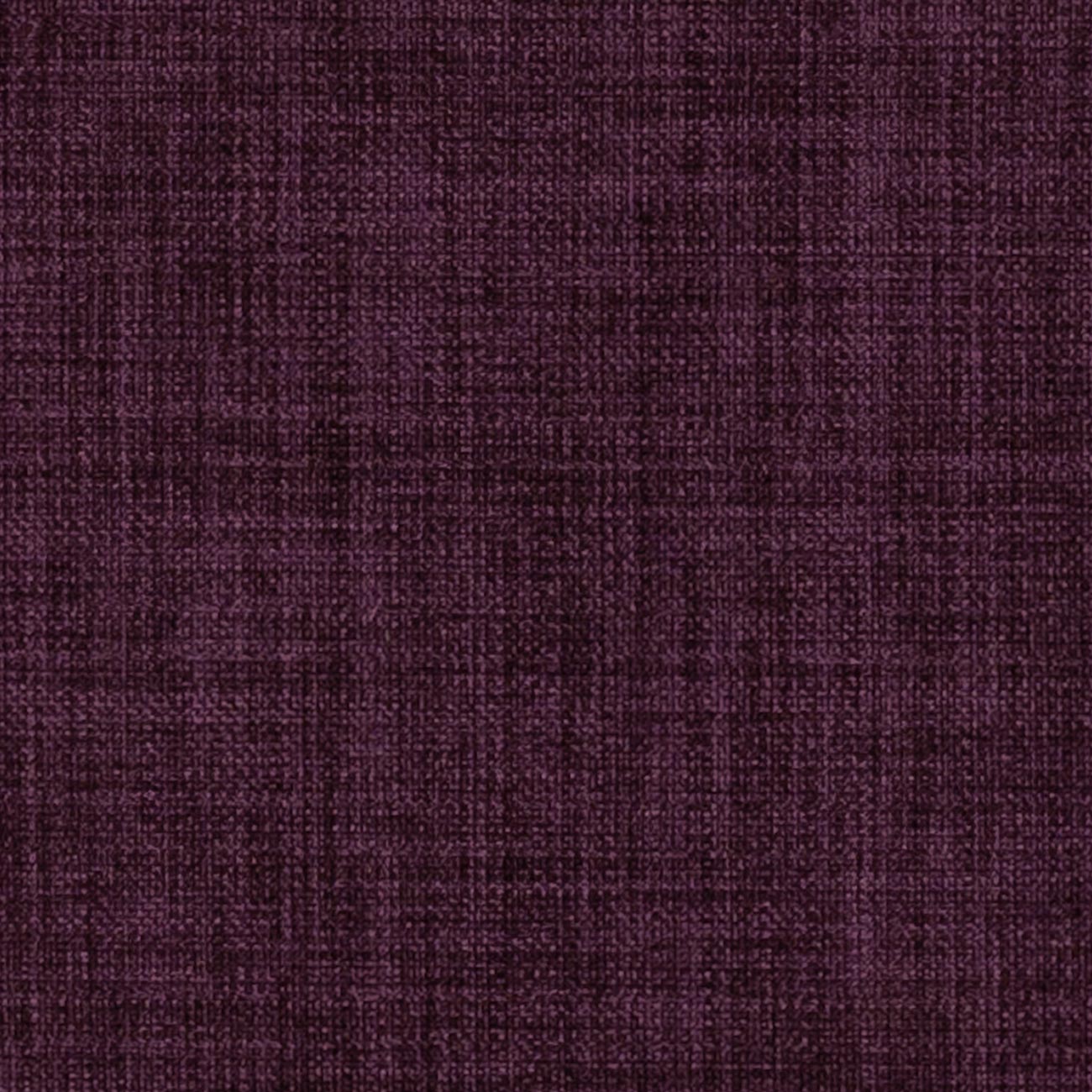 Linoso Petunia