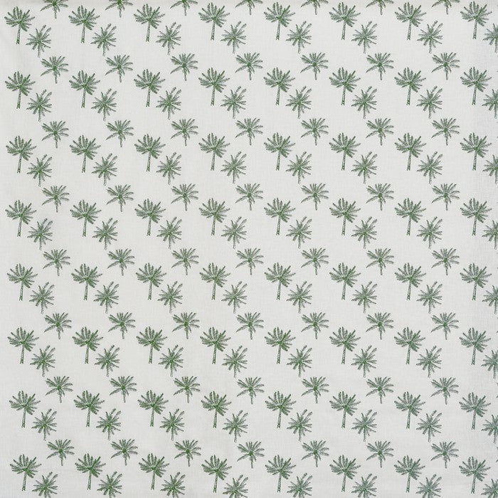 Little Palm Fern