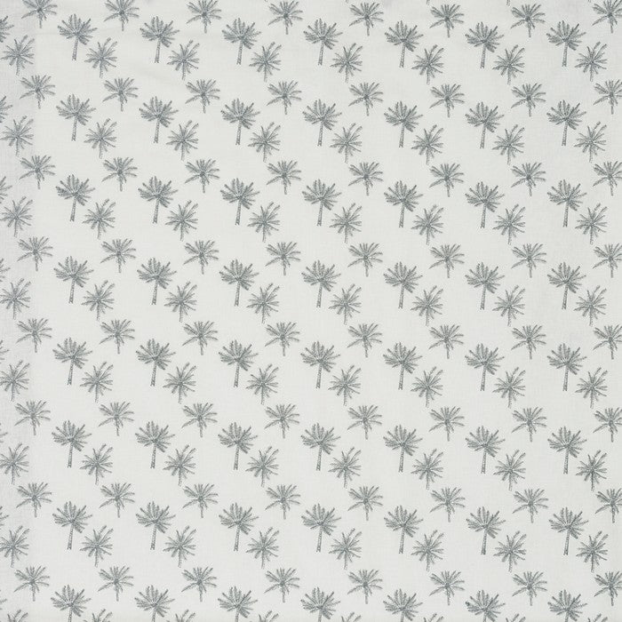 Little Palm Silver