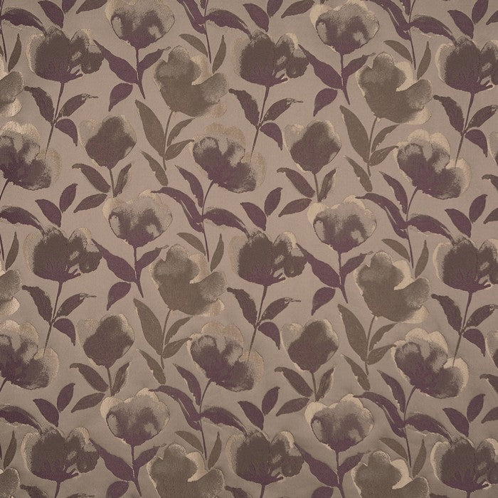 Lotus Plum