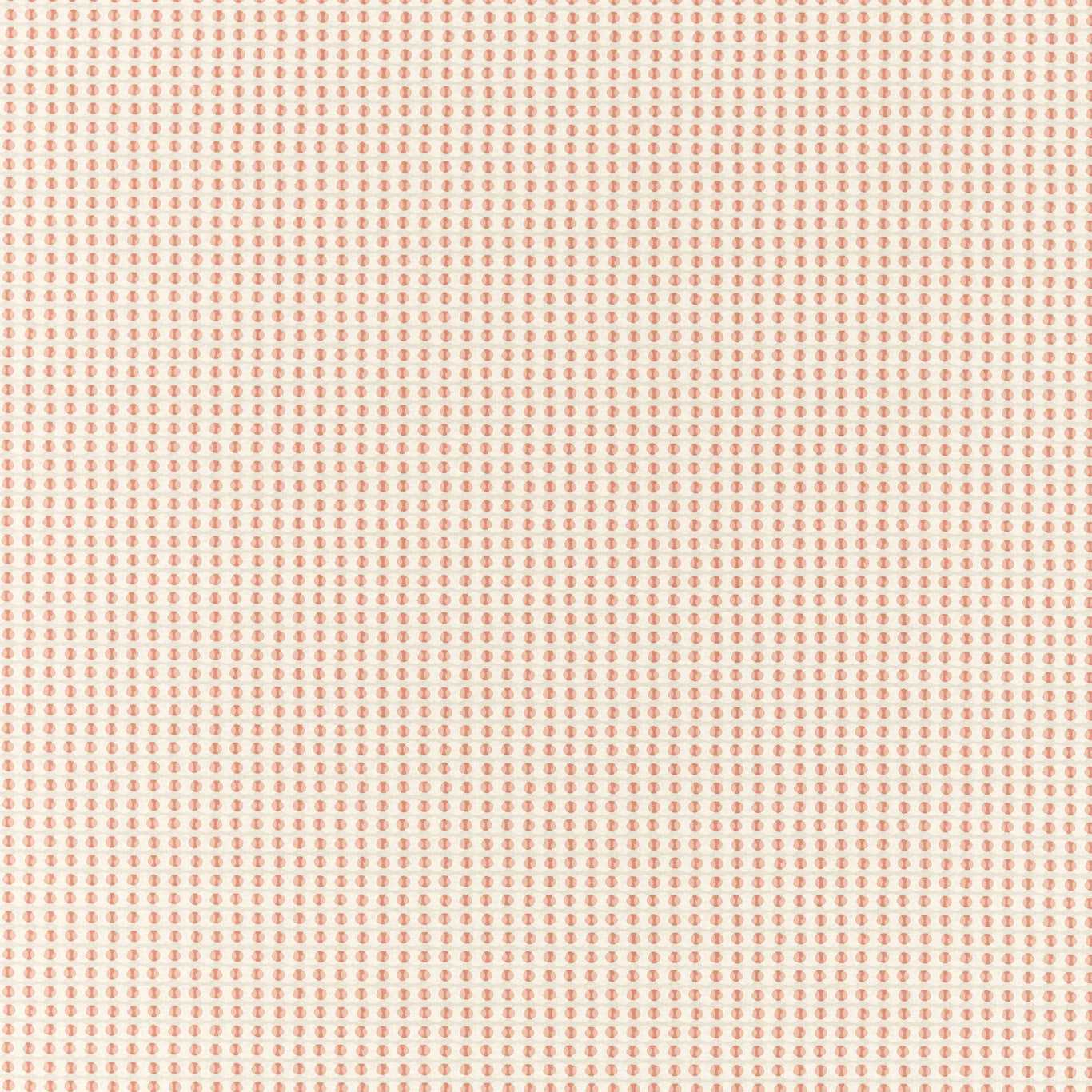 Olympia Blush