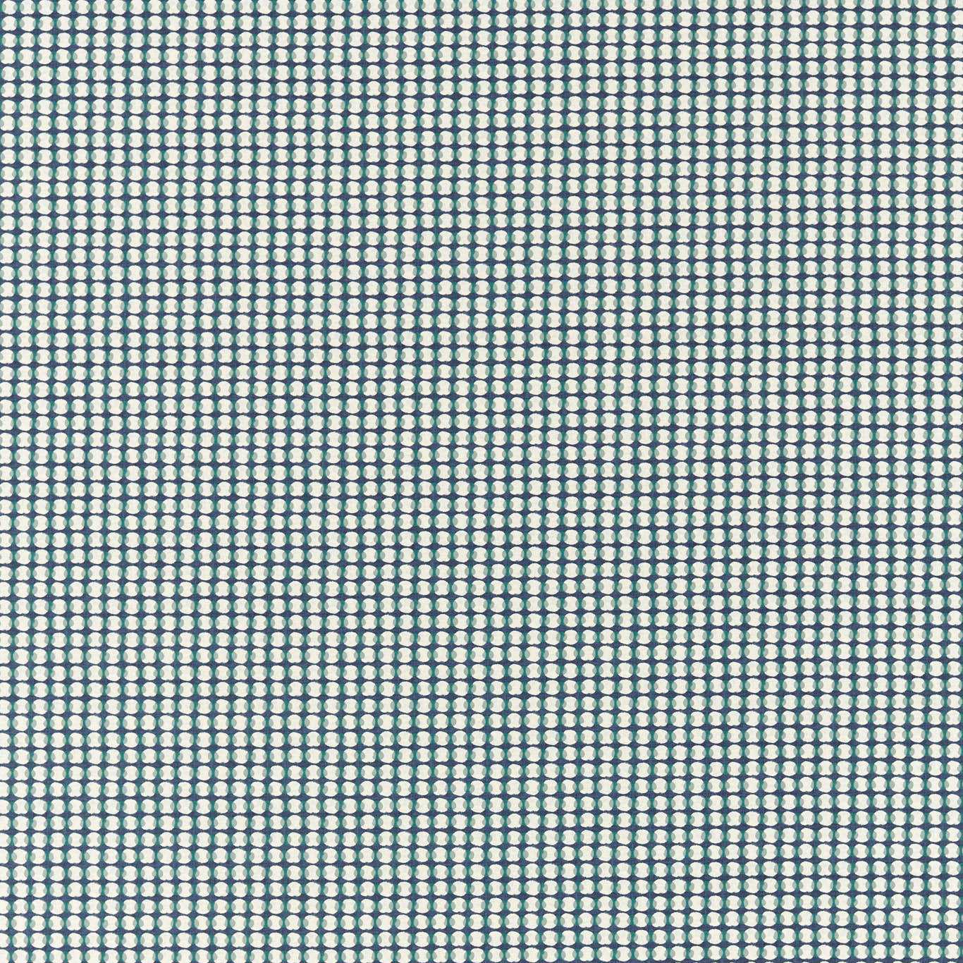 Olympia Navy