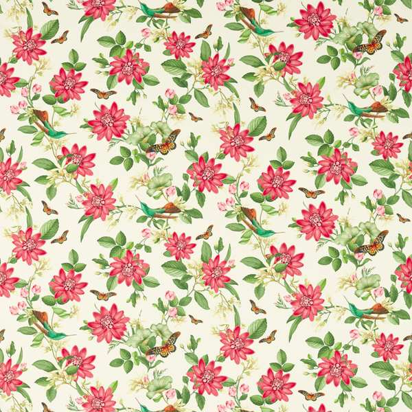 Pink Lotus Ivory