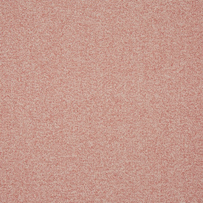 Robertson Petal