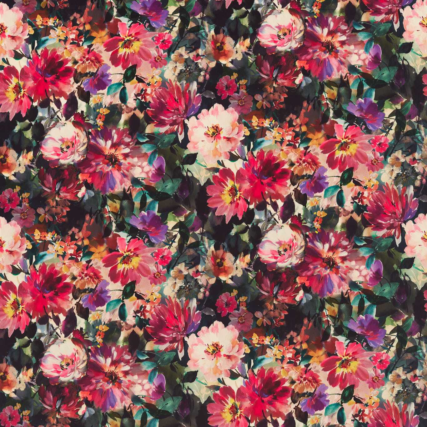 Tahiti Fuchsia