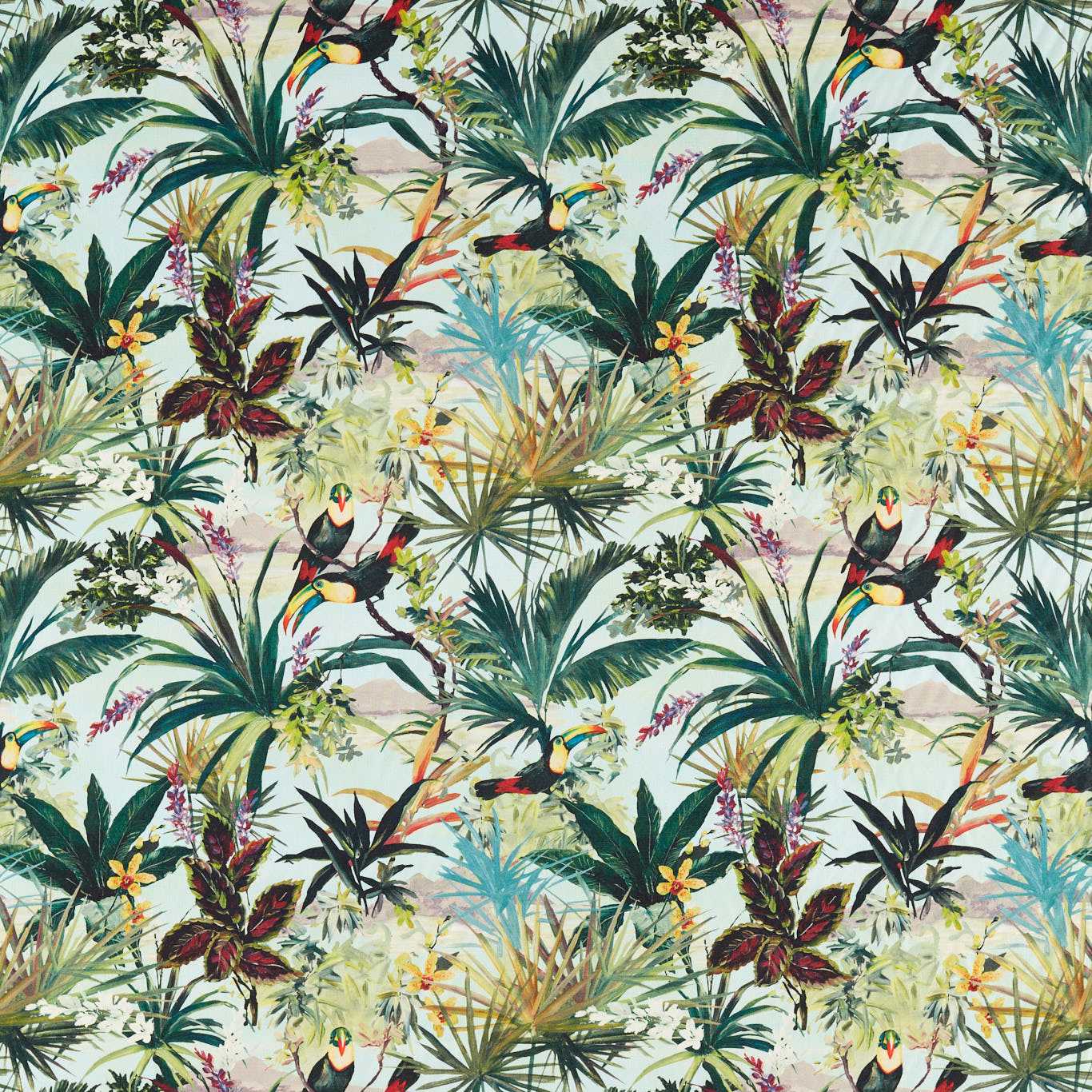 Toucan Sky