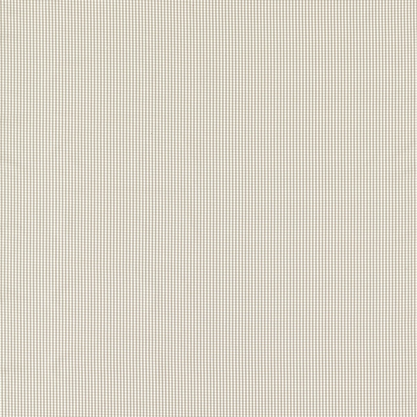 Windsor Dove