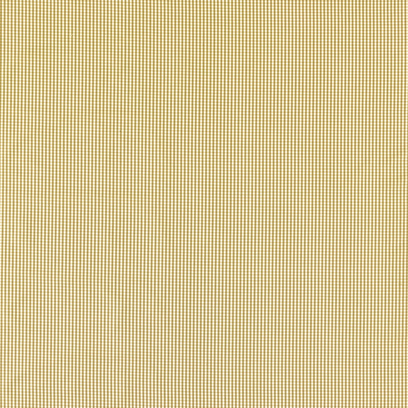 Windsor Ochre