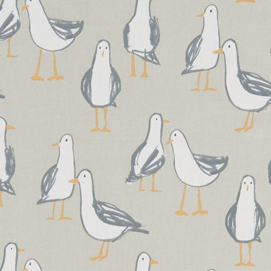 Laridae Taupe