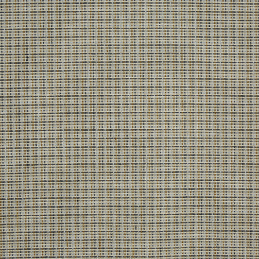 Rainier Umber