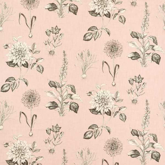 Roseraie Blush