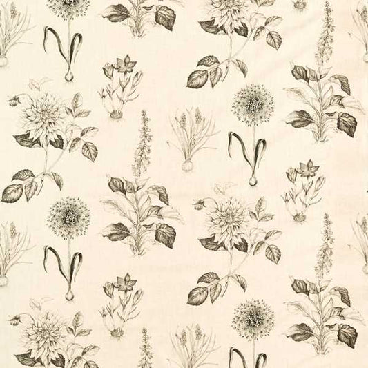 Roseraie Charcoal