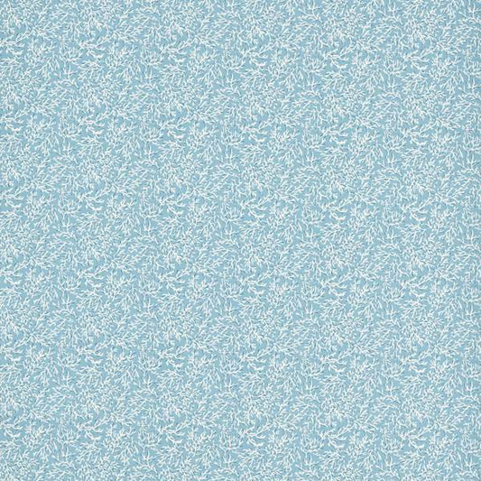 Seabed Cloud