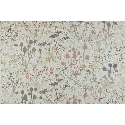 Summer Border Shell