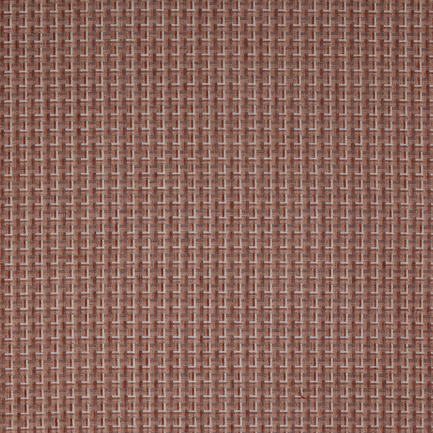 Temika Cinnabar fabric by Prestigious Textiles Tambo Collection ...