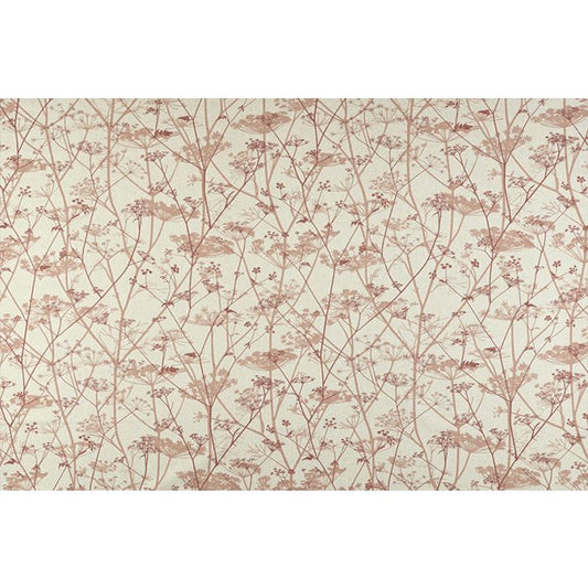 Wild Chervil Terracotta