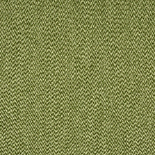 Flynn Cactus