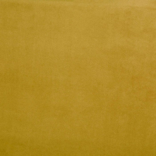 Belgravia Zest
