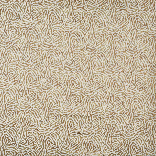 Serengeti Sahara
