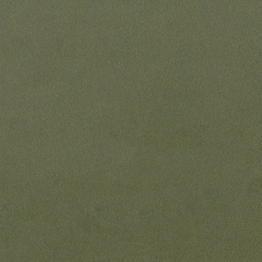 Lucca Herb