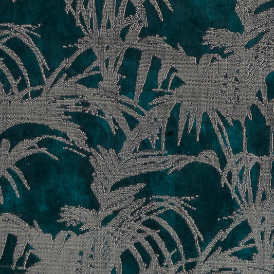 Tropicale Kingfisher