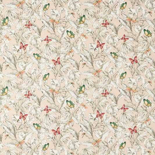 Acadia Blush