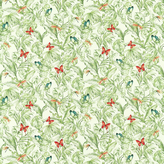 Acadia Olive/Spice