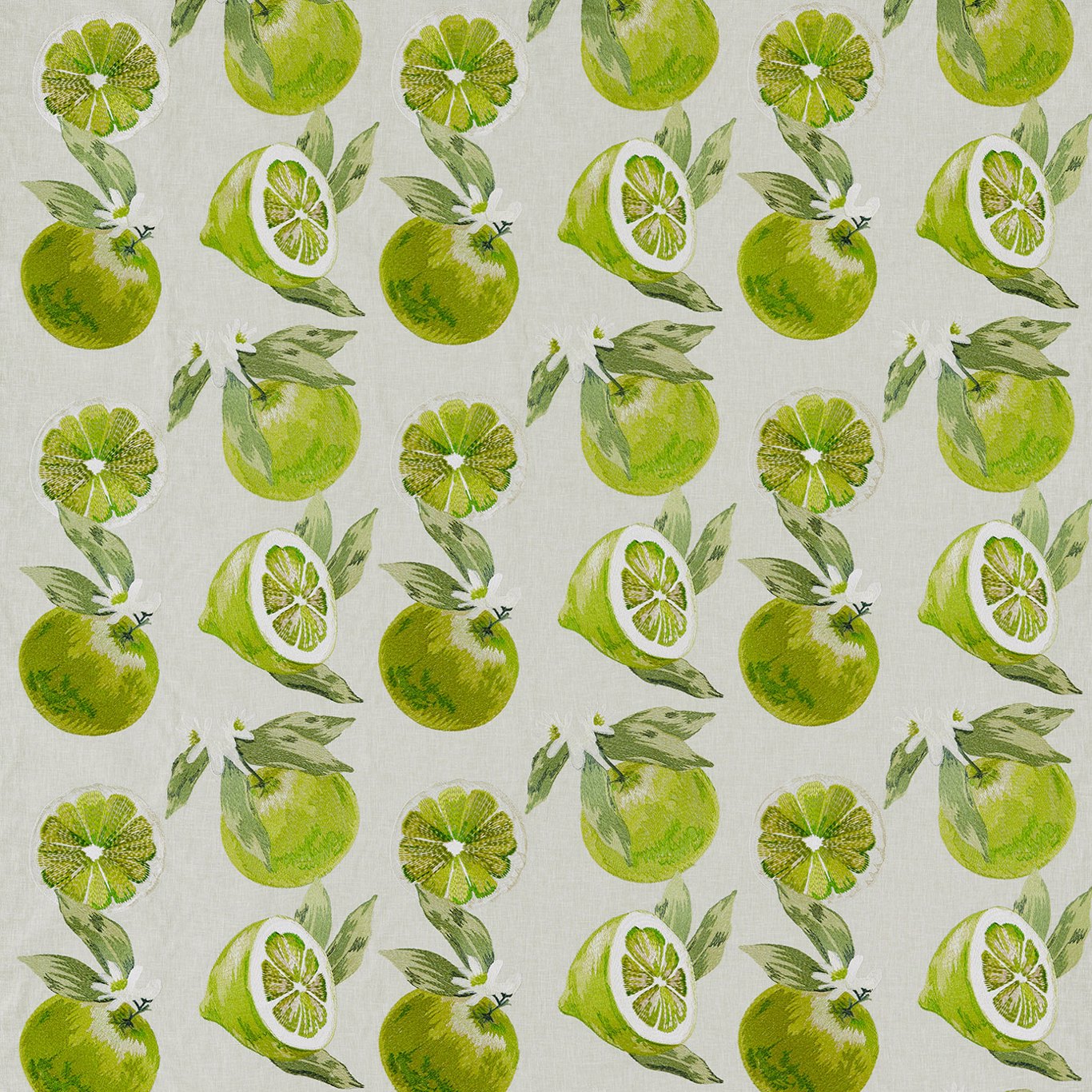 Agrias Lime