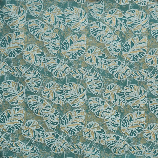 Alder Peacock