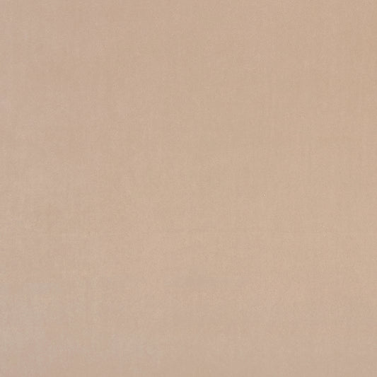 Alvar Nude