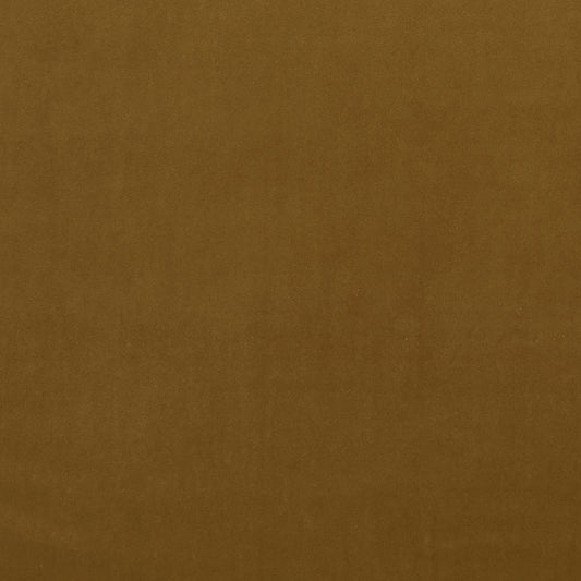 Alvar Tumeric