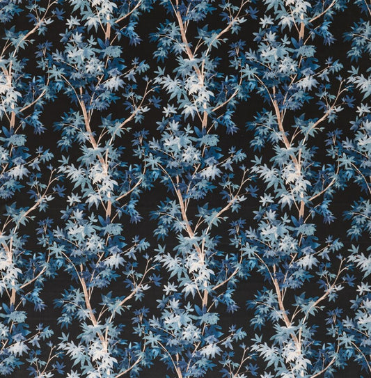 Aspen Midnight