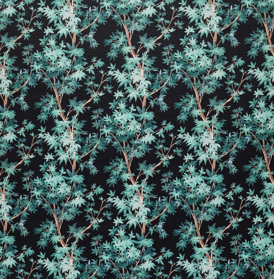 Aspen Teal