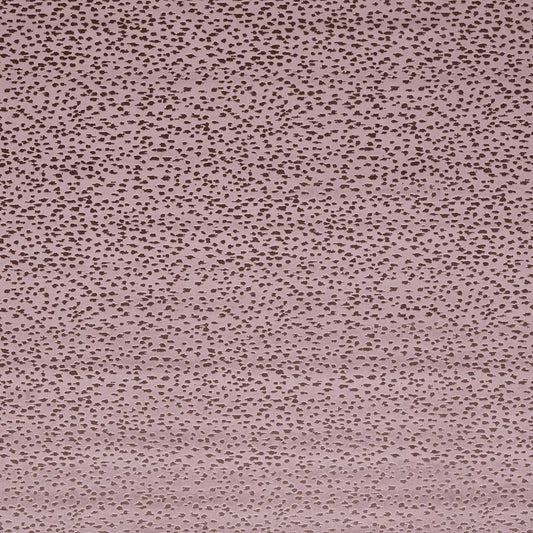 Astral Heather