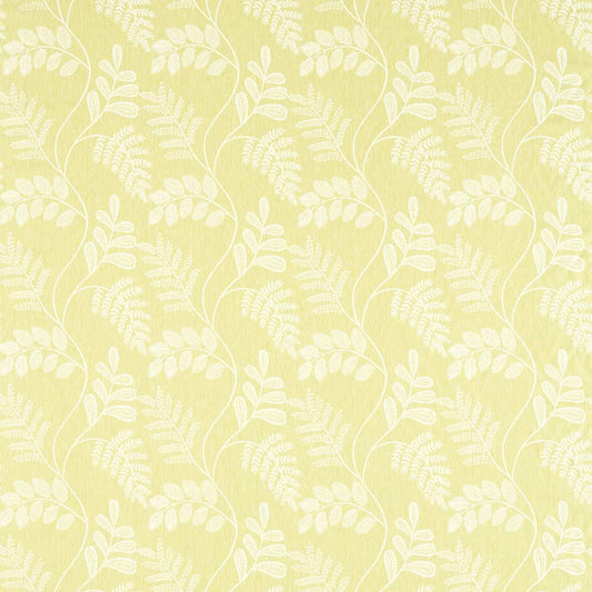 Audette Citron