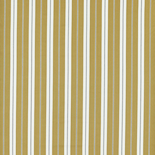 Belgravia Ochre/Charcoal