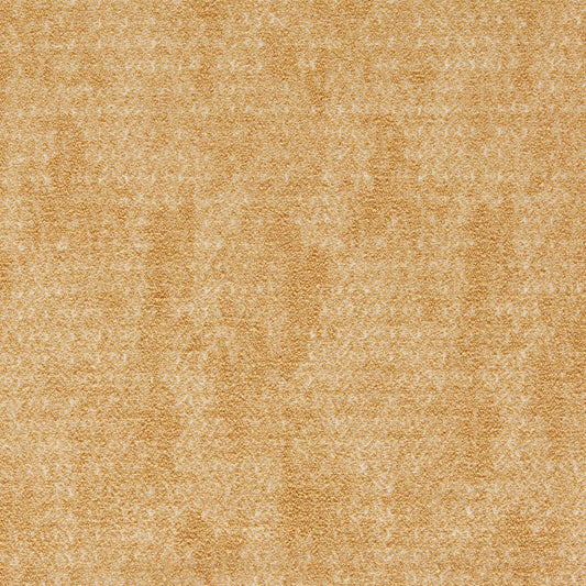 Bjorn Ochre