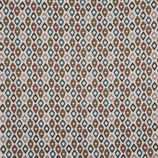 Cassia Nutmeg