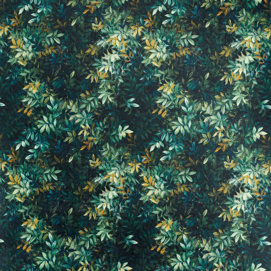 Congo Forest