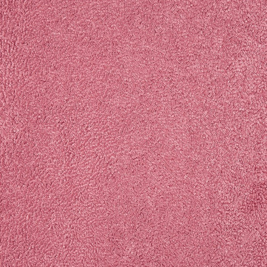 Fergus Raspberry