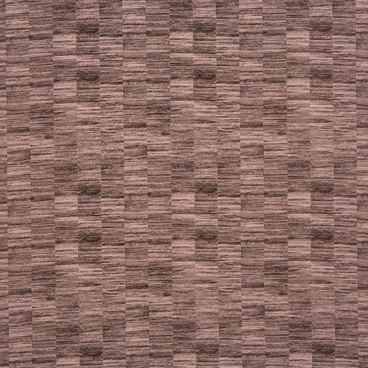 Honshu Plum