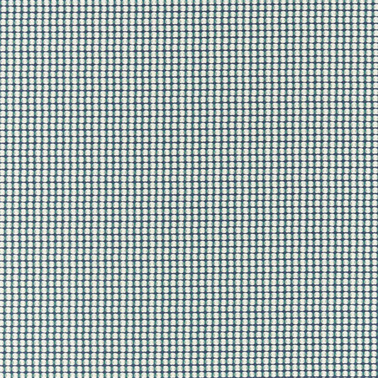 Olympia Navy