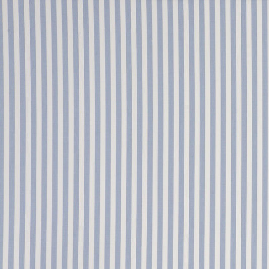 Party Stripe Chambray