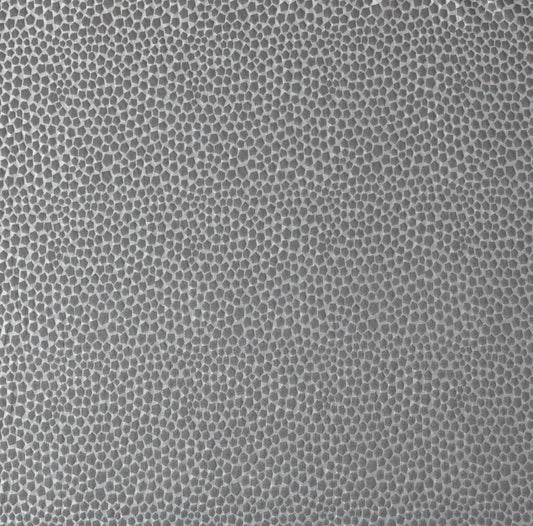 Taurus Graphite