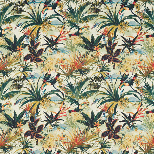 Toucan Antique