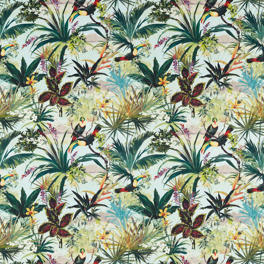 Toucan Sky
